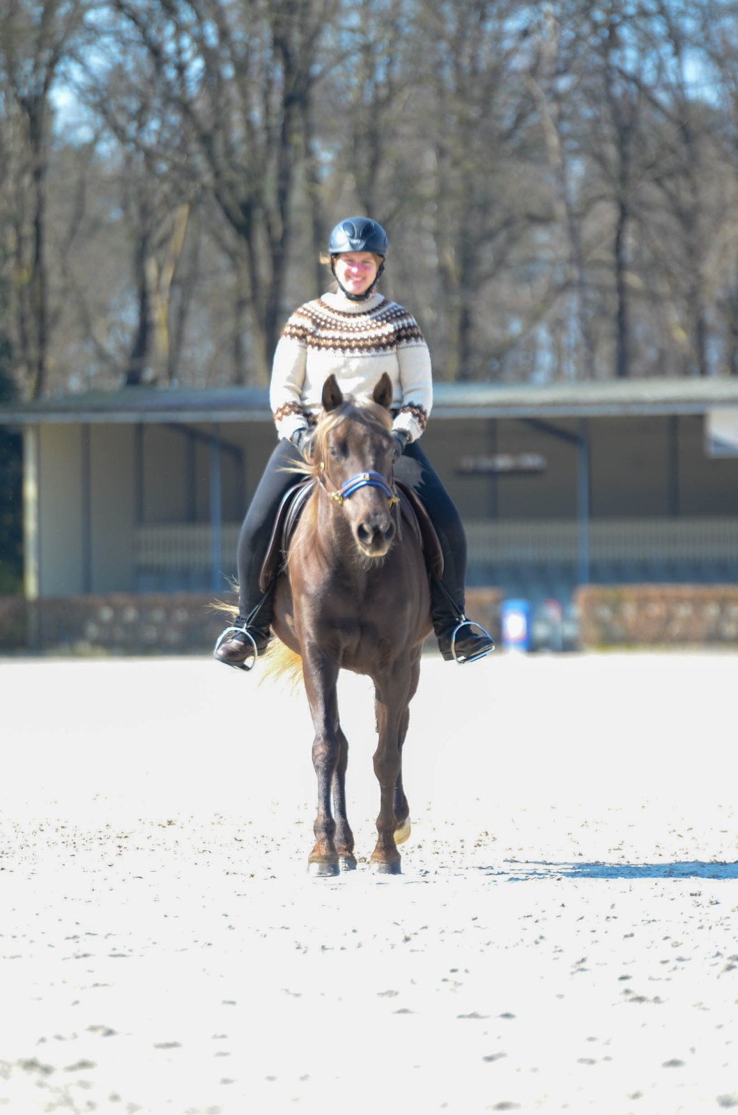 The Secret of Gaits Bundle