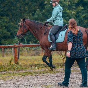 The biomechanic Clinic