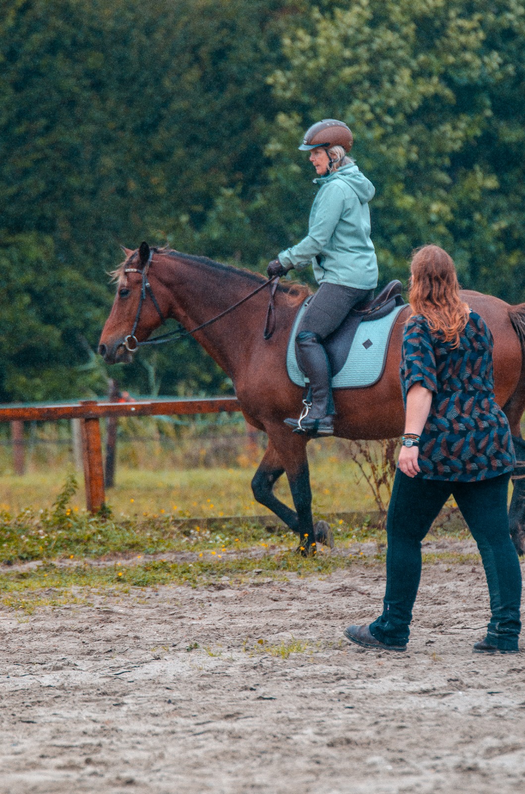 The biomechanic Clinic